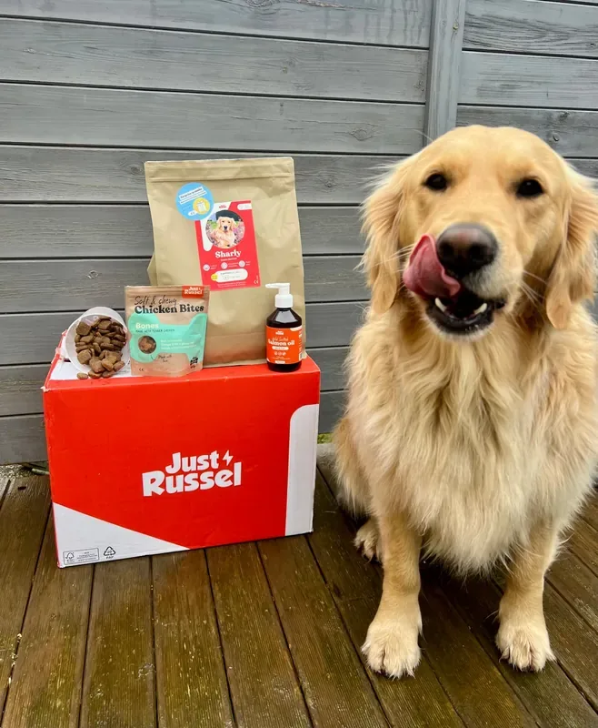 Golden retriever naast de doos en verpakking van Just Russel